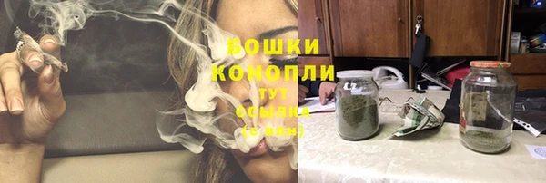 сатива Балахна
