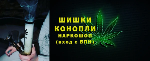 apvp Белокуриха
