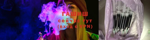 сатива Балахна