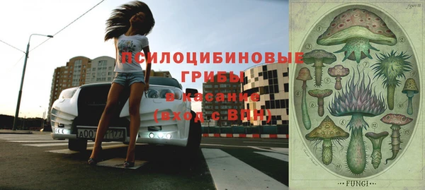 сатива Балахна