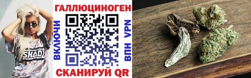 Галлюциногенные грибы Psilocybine cubensis  как найти закладки  Ногинск 